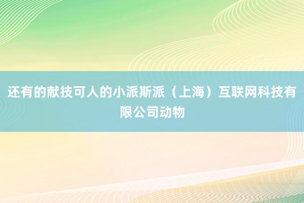 还有的献技可人的小派斯派（上海）互联网科技有限公司动物