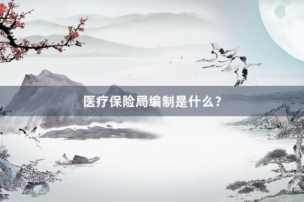 医疗保险局编制是什么？